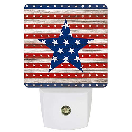 American Flag Day Independence DayFGE1145