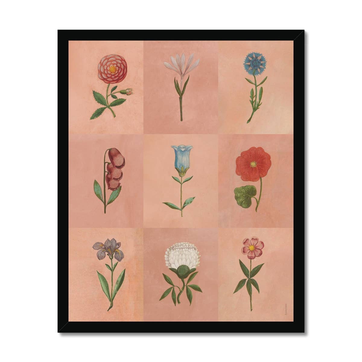 Festival of Flowers Art Print | 11x14 Inch Floral Wall Decor | Perfect for Living Room, Bedroom & Office Decorations