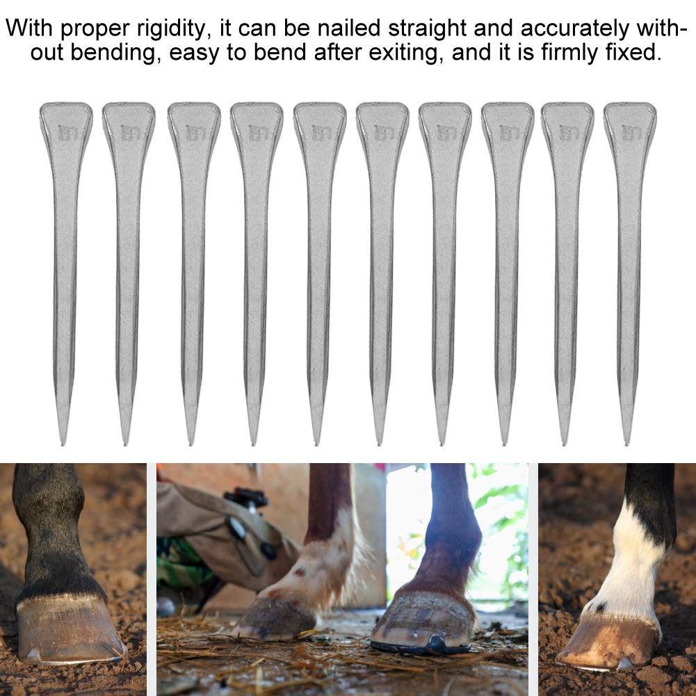 Mokernali 250 Pcs Stainless Steel Horseshoe Nails - 2 Inch Sharp Bevel E5 Horseshoe Nails for Horse Training, Equestrian Sports & Farrier Tools - Perfect for Horse Hoof Care, Blacksmithing & Stable Maintenance