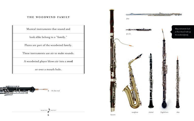Professional Flute Model 978 - ISBN 1-60818-367-8 | Perfect for Beginners, Students & Music Performances