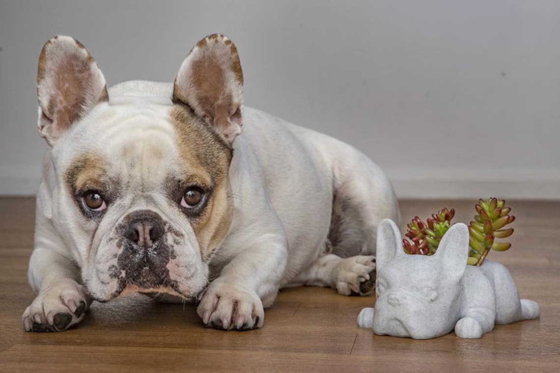 French Bulldog Planter - Cute Doggy Planter for Succulents, Bar & Table Decor, Unique Gift for Dog & Plant Lovers (Marble Design) - Perfect for Home, Office & Garden Decor