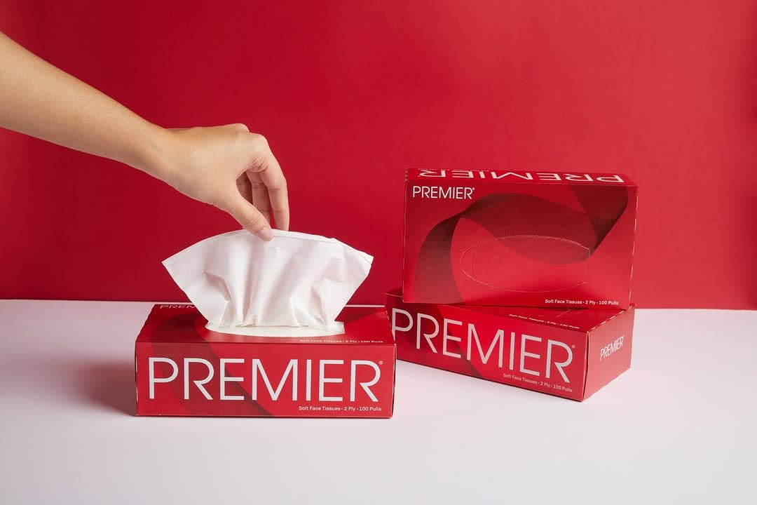 Premium 2-Ply Facial Tissues Box - 100 Pulls per Box (4-Pack, 400 Pulls Total) | Soft & Strong for Home, Office & Travel Use | Gentle on Skin | Bulk Tissue Paper Supply