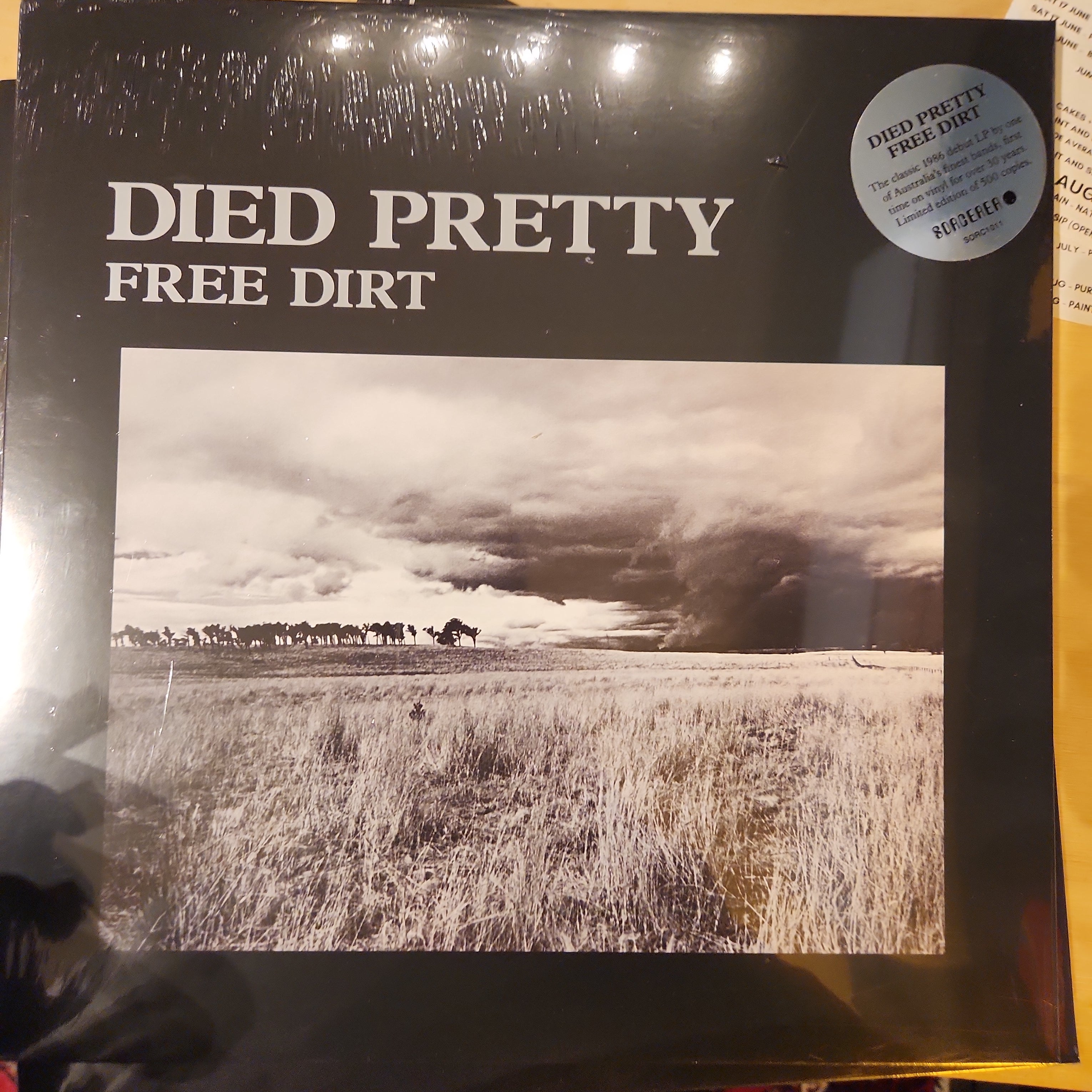 Died Pretty - Free Dirt Vinyl LP Record | Alternative Rock Music Album | Perfect for Collectors & Home Listening
