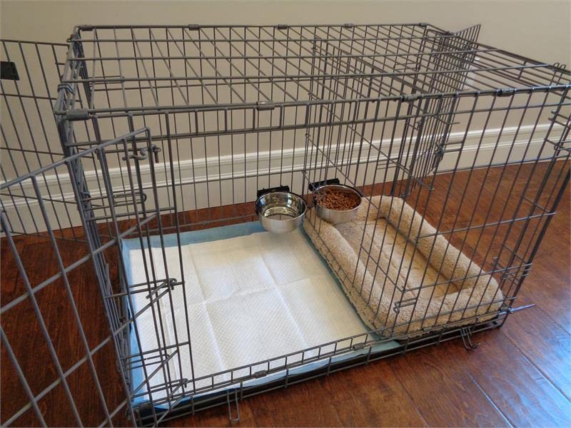 Hanging Dog Crate Bowl for Puppy Training - Elevated Food & Water Dish with Wire Mount for Kennels, Apartments & Small Spaces | Perfect for Potty Training & Travel Use