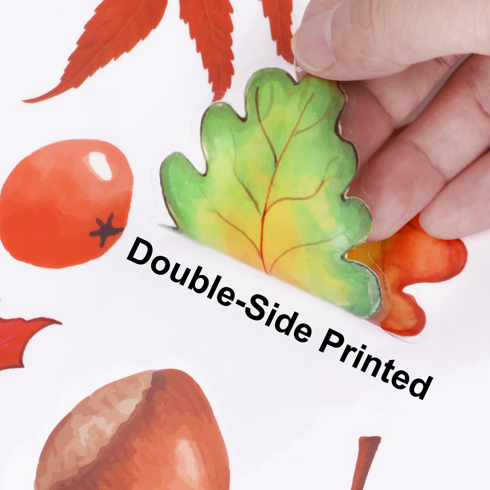 Fall Window Clings - Autumn Maple Leaf & Hazelnut Static Stickers for Glass Windows | Double-Sided Removable & Reusable Thanksgiving Decor | Perfect for Home, Office, and Seasonal Party Decoration