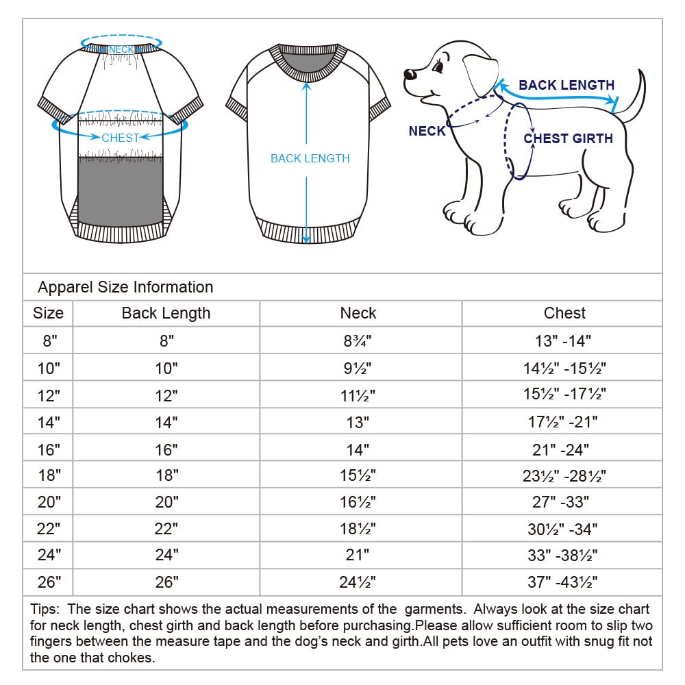 Blueberry Pet 2023 New Spring Floral Dog Sweater - Rose Scented Puppy Pullover in Soft Baby Pink, 8
