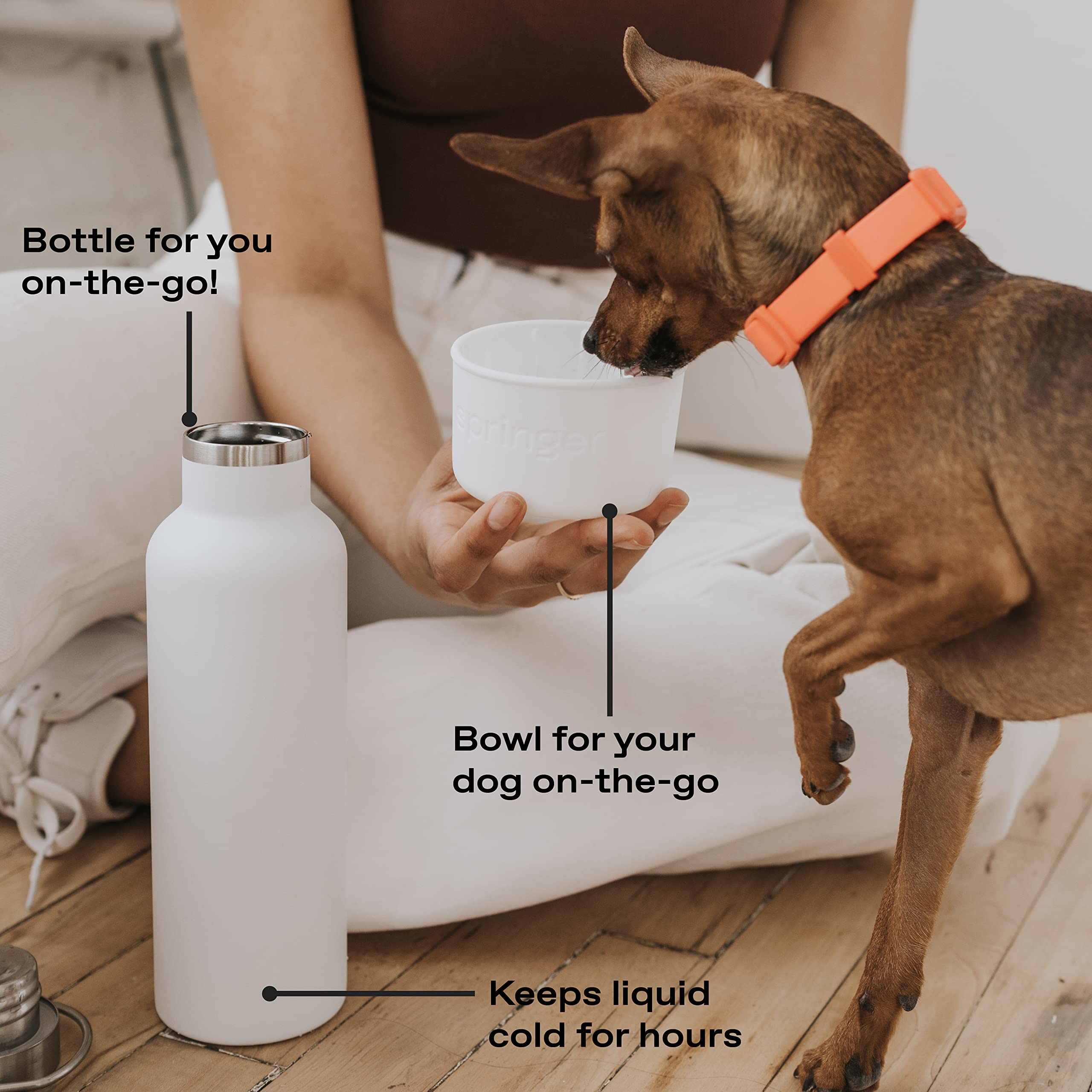 Springer Dog and Me 24oz Stainless Steel Insulated Water Bottle - Keeps Cold for 12+ Hours, Leak-Proof Portable Dog Water Bottle with Built-in Travel Bowl for Hiking, Camping, and Outdoor Adventures - Lilac/Green