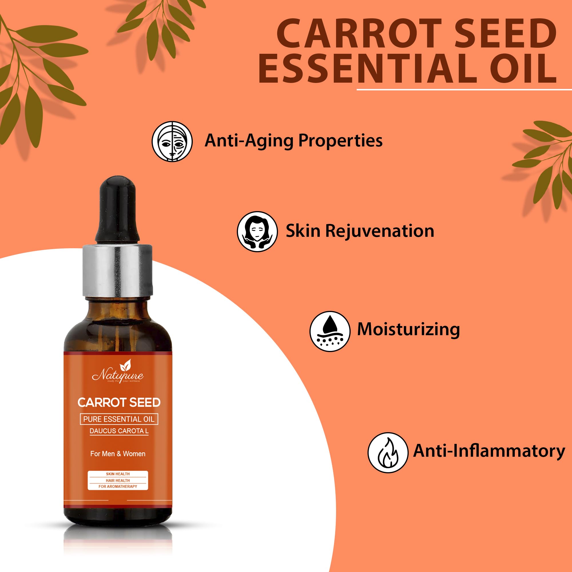 Natupure 100% Pure Carrot Seed Essential Oil - Undiluted, Natural for Skin & Hair Care - 30ml Bottle - Perfect for Aromatherapy, Massage & DIY Beauty Recipes