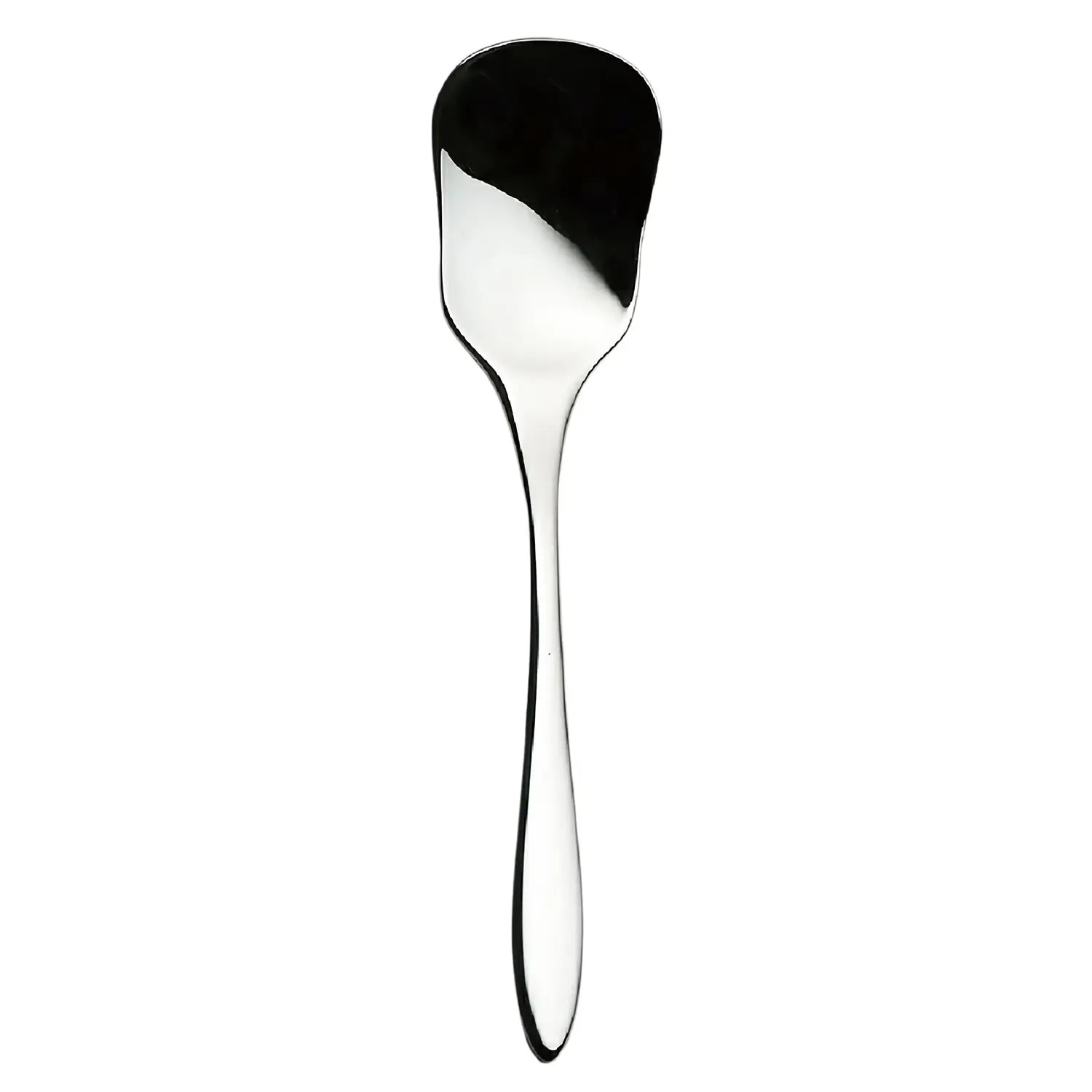 Premium Stainless Steel Ice Cream Spoon Set - Durable & Elegant Dessert Spoon for Gelato, Sorbet, Yogurt - Perfect for Parties, Picnics, and Home Use