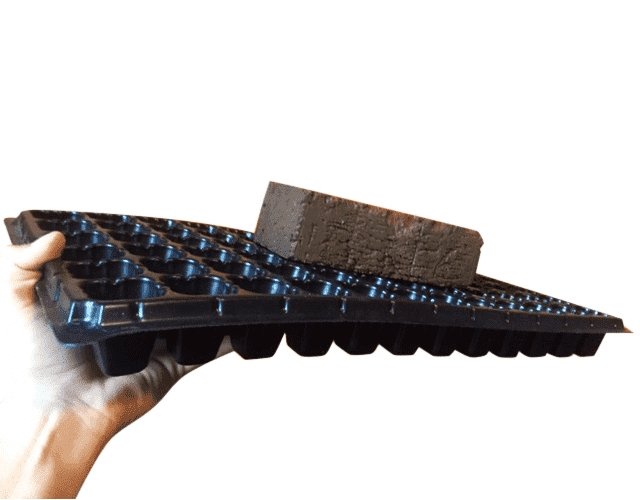 Bootstrap Farmer 50-Cell Seed Starting Plug Tray - Perfect for Indoor Gardening, Greenhouse & Hydroponic Systems
