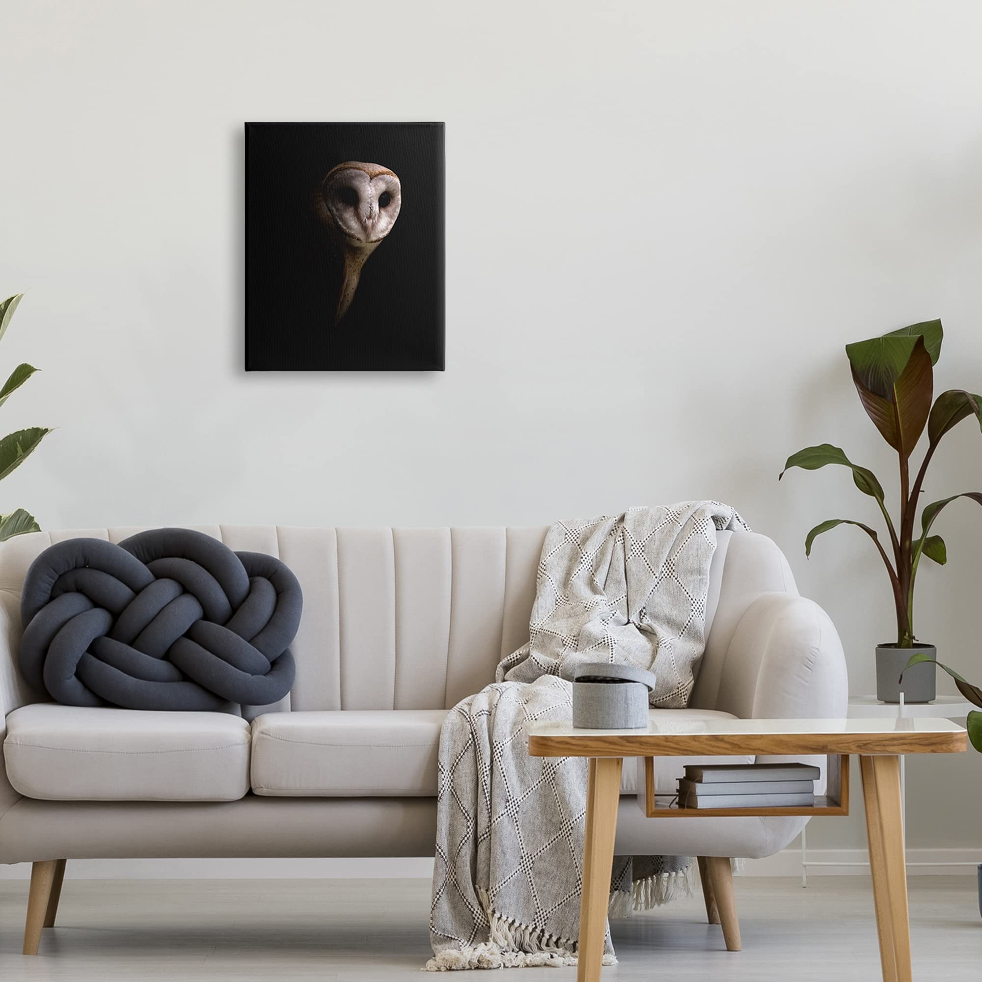 Stupell Industries Stunning Intense Barn Owl Black Shadow Photography Portrait Wall Art - Designed by Incado - Perfect for Home Decor, Living Room, Bedroom & Office