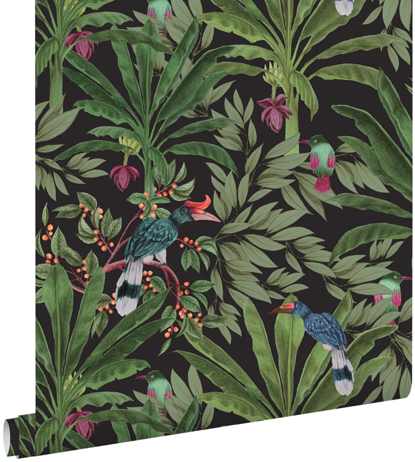 Paradise Jungle Grove - Exotic Tropical Plants for Home & Garden Decor | Perfect for Indoor Greenery, Outdoor Landscaping & Zen Spaces