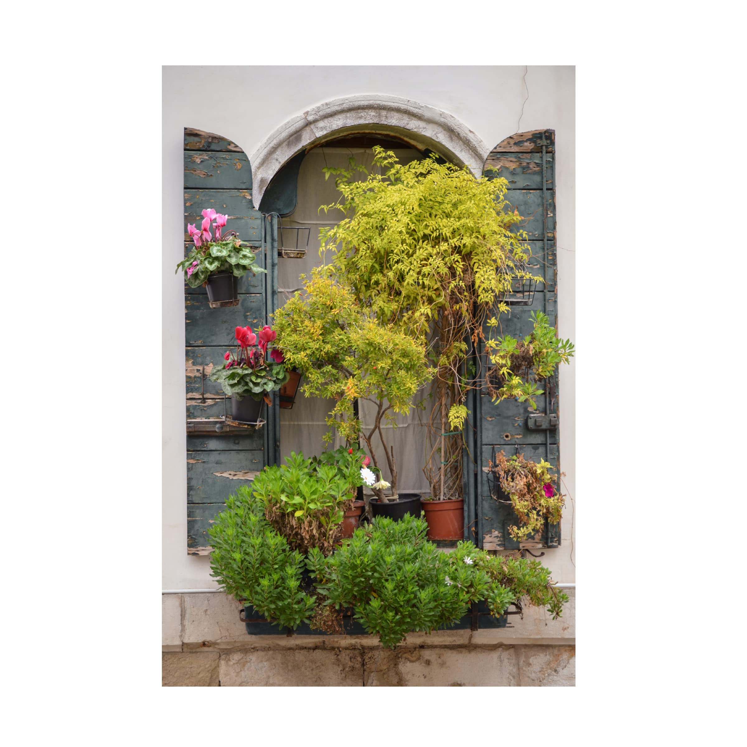 Laura DeNardo 'Italian Window Flowers IV' Canvas Wall Art Print - Floral Home Decor for Living Room, Bedroom & Office | Trademark Fine Art Collection
