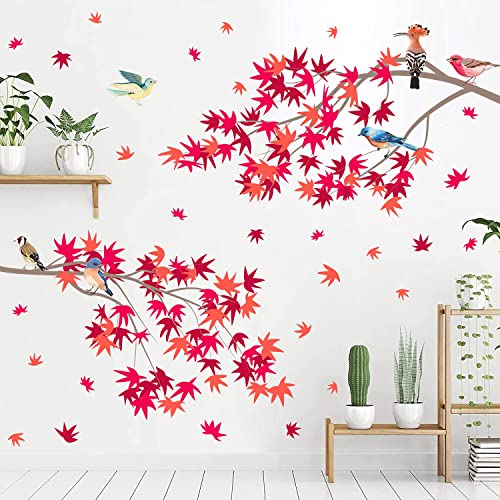 Maple Leaf