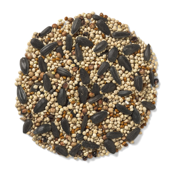 Wild Delight Premium Buffet Wild Bird Seed - 10 lb Bag for Attracting Cardinals, Finches & Songbirds | Ideal for Backyard Feeders & Bird Watching