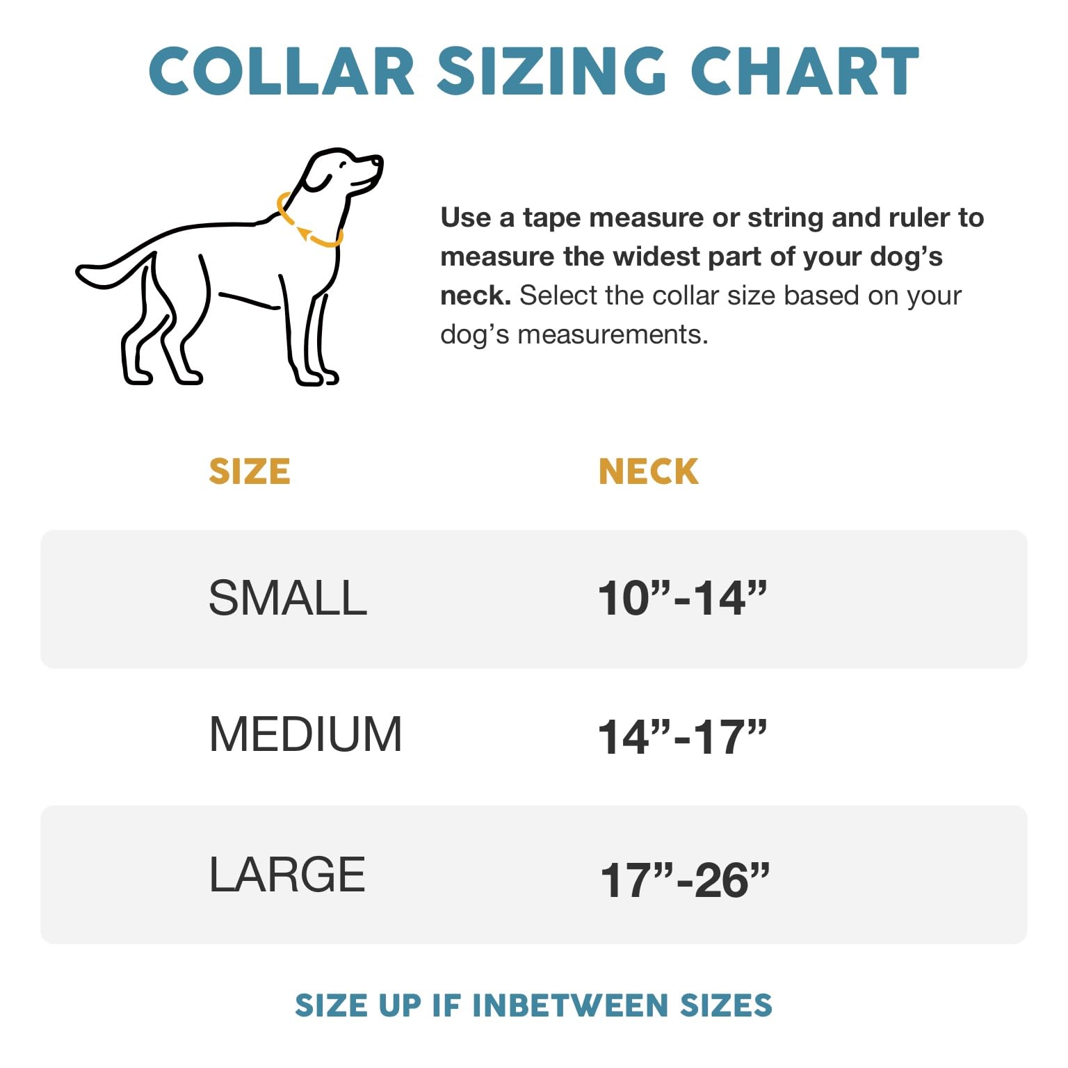 Embark Urban Dog Collar - Stylish & Durable Nylon Collar for Medium Dogs, Comfortable Adjustable Pet Collar with Strong Buckles - Perfect for Daily Walks, Training & Outdoor Adventures