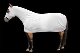 XS Solid Silver Full Body Horse Blanket - Warm & Durable Winter Horse Cover for Riding, Training & Stable Use