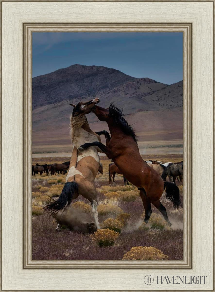 Desert Duel 1 by Greg Sargent - Western Adventure Novel for Adults | Perfect for Book Clubs, Gifts & Western Fiction Fans