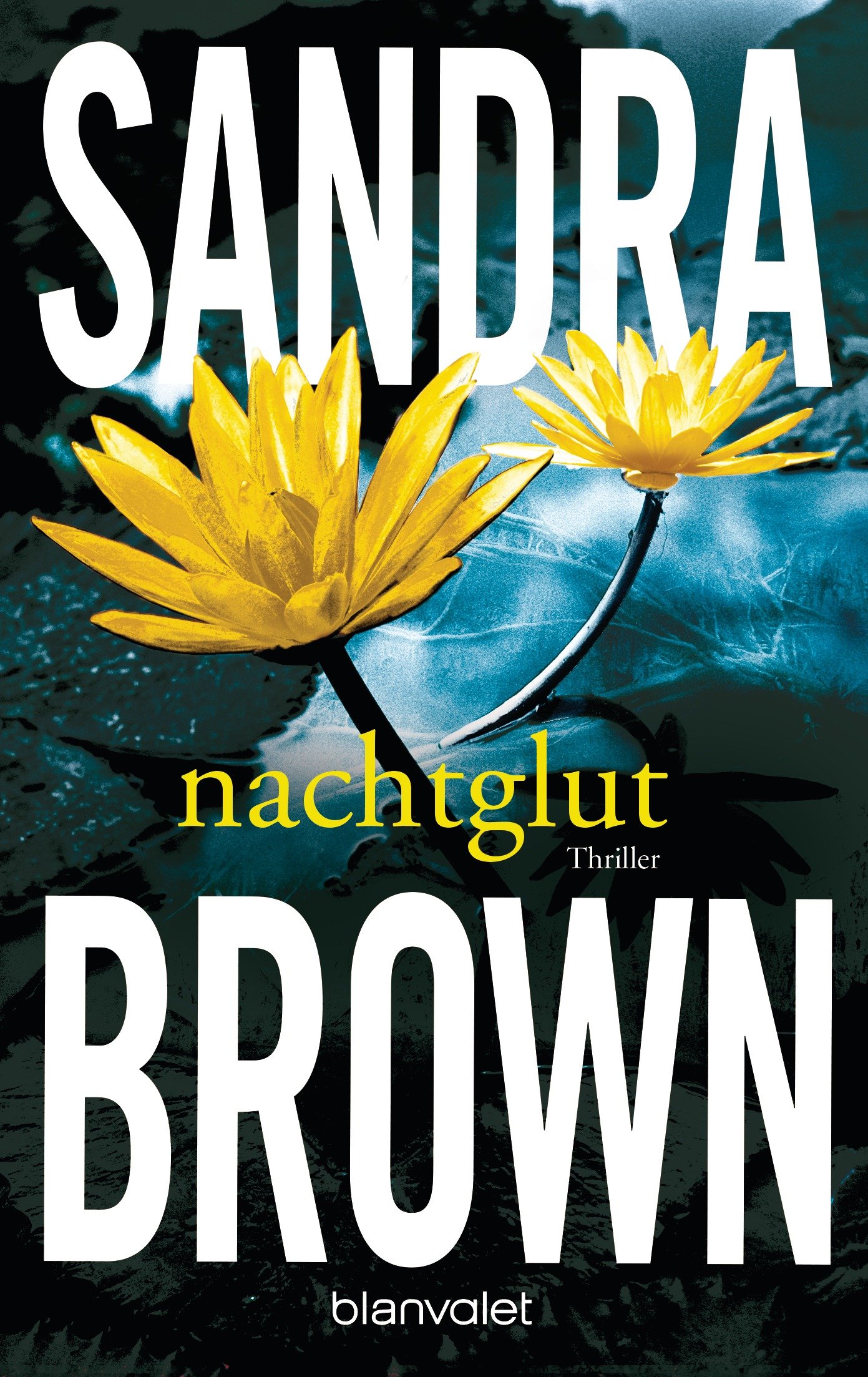 Nachtglut Thriller Book - Suspenseful Reading for Mystery Lovers