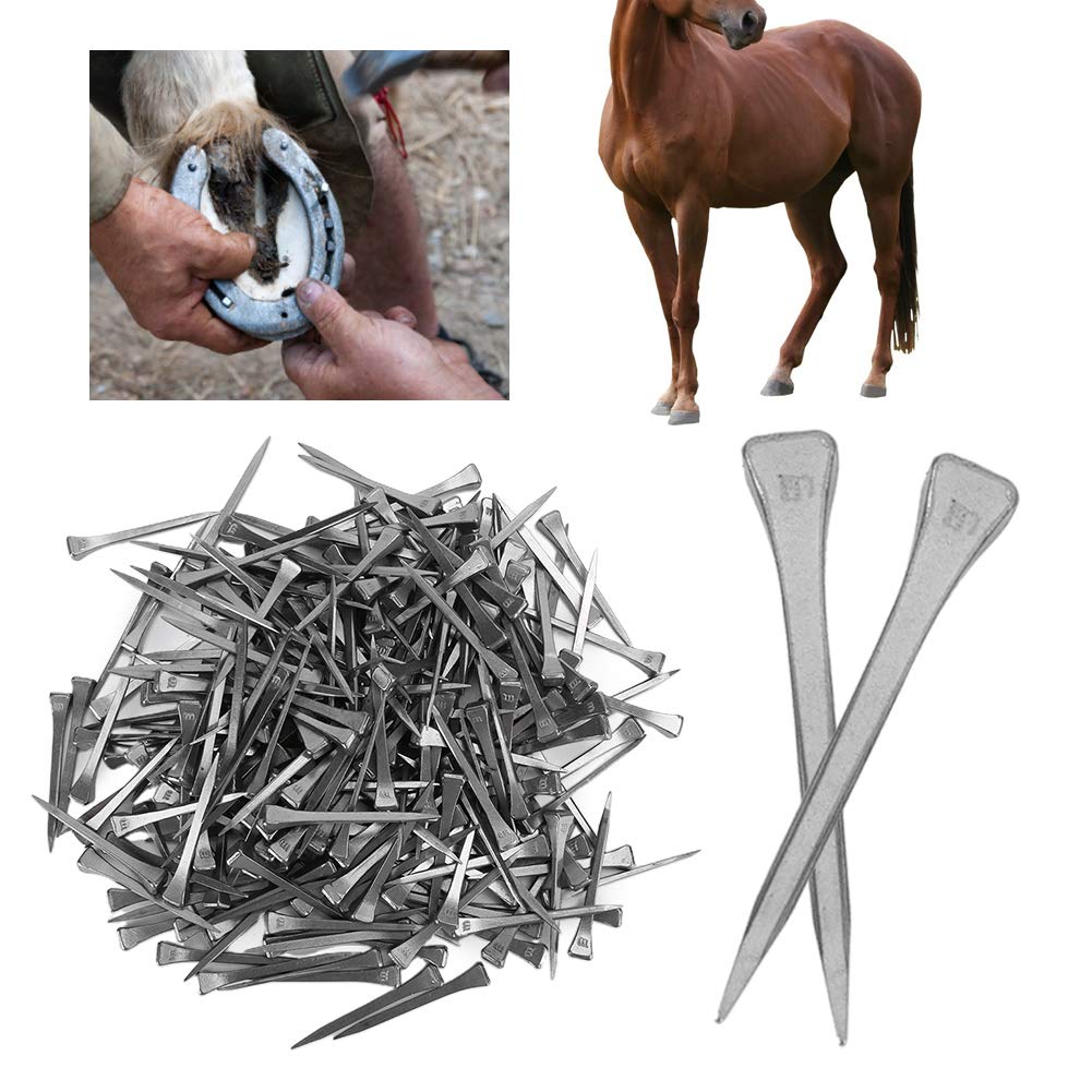 Mokernali 250 Pcs Stainless Steel Horseshoe Nails - 2 Inch Sharp Bevel E5 Horseshoe Nails for Horse Training, Equestrian Sports & Farrier Tools - Perfect for Horse Hoof Care, Blacksmithing & Stable Maintenance