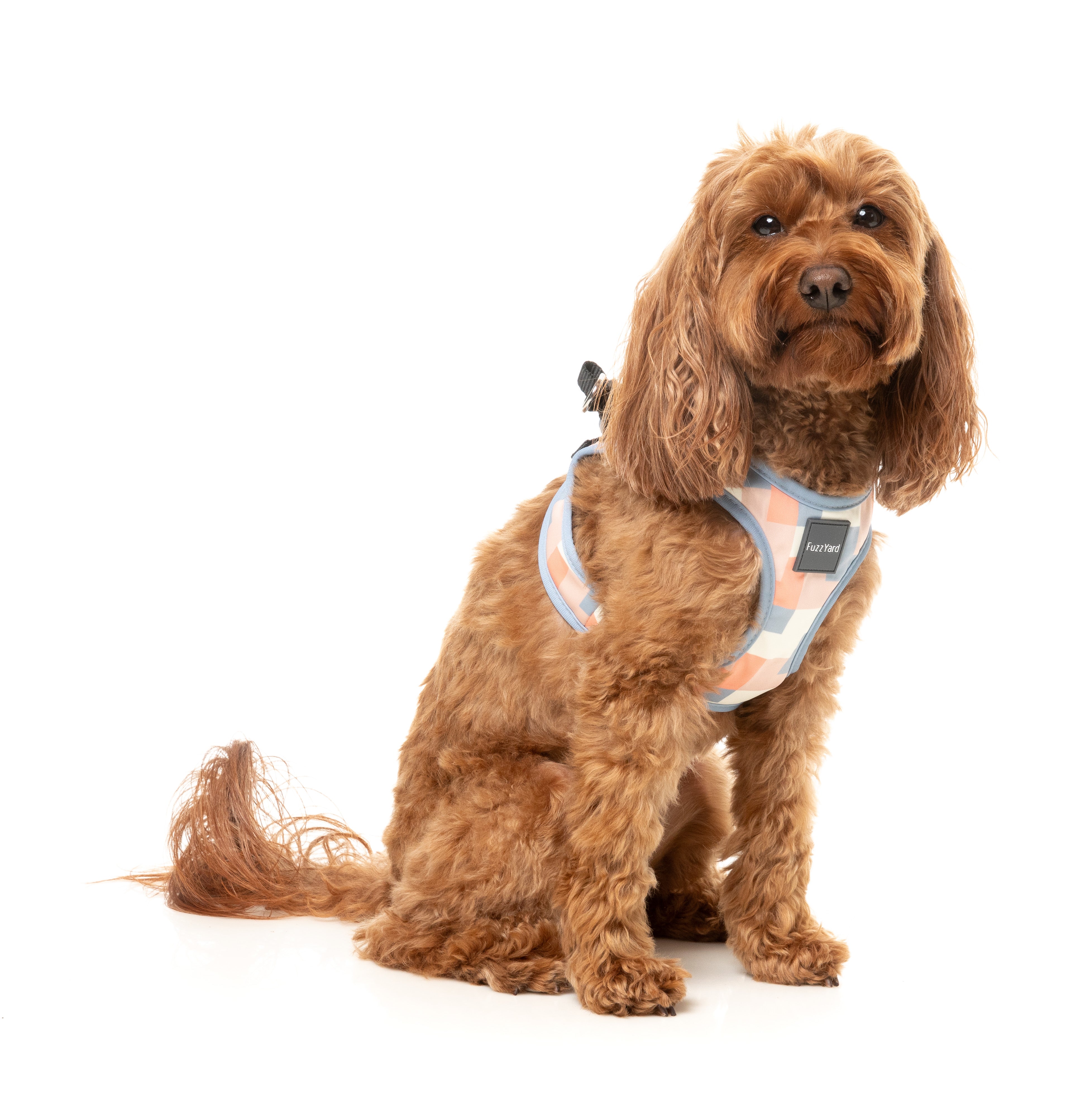 FuzzYard YAZD Dog Step In Harness - Adjustable No-Pull Pet Vest for Small & Medium Dogs - Perfect for Walking, Training & Outdoor Adventures