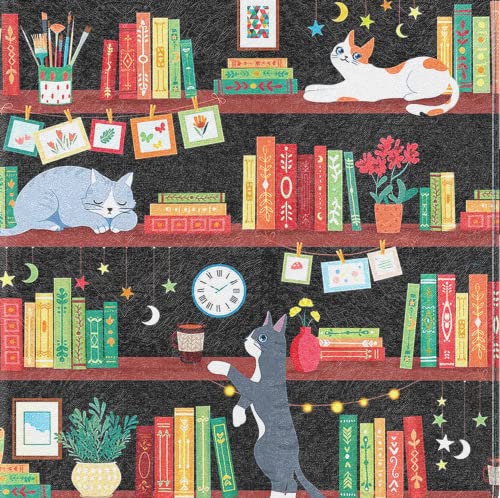 002 Bookshelf Cat