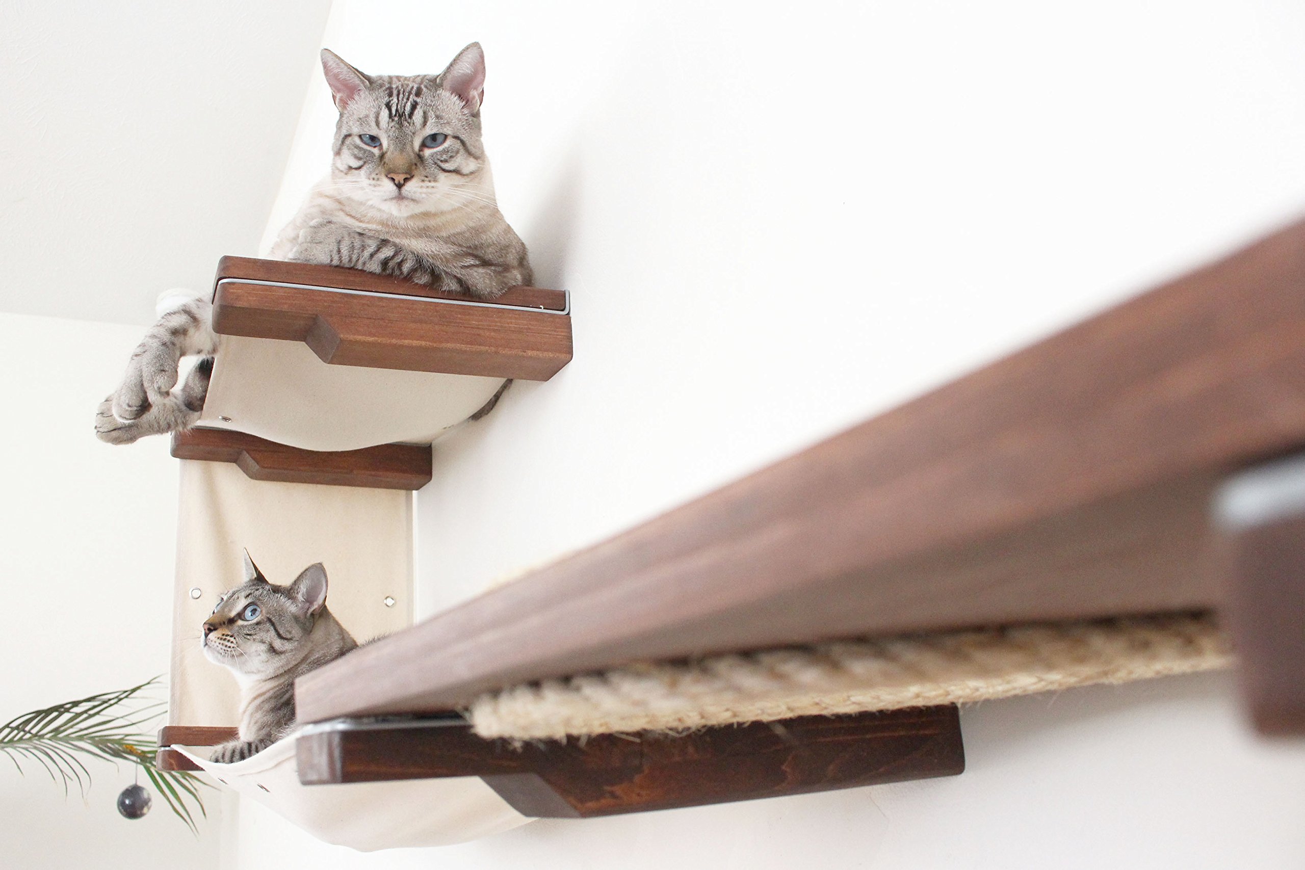 Premium Cat Wall Mounted Play Condo - Modular Bamboo Frame with Sisal Scratching Pole & Hammock - 18