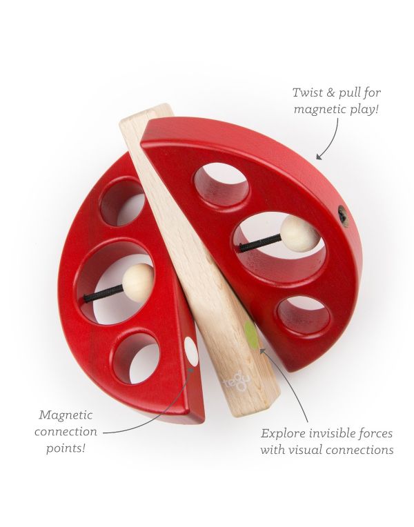 Tegu Magnetic Wooden Swivel Bug Toy for Babies & Toddlers - Safe, Educational, and Fun for Indoor & Outdoor Play