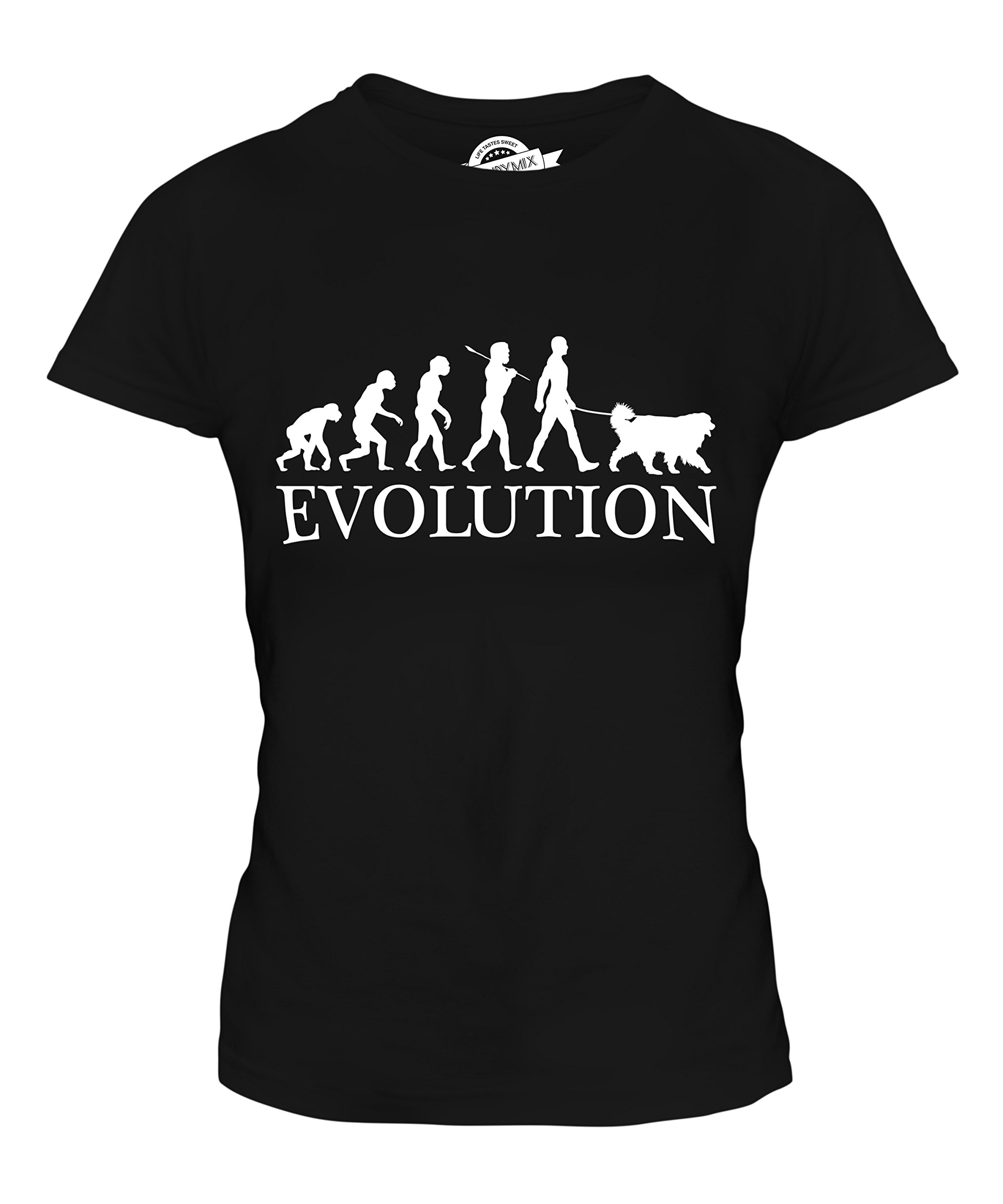 Women's Bernese Mountain Dog Evolution of Man Graphic Fitted T-Shirt - Casual Comfort Top for Dog Lovers, Outdoor Activities & Everyday Wear