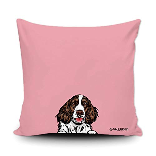 English Springer Spaniel-1-3