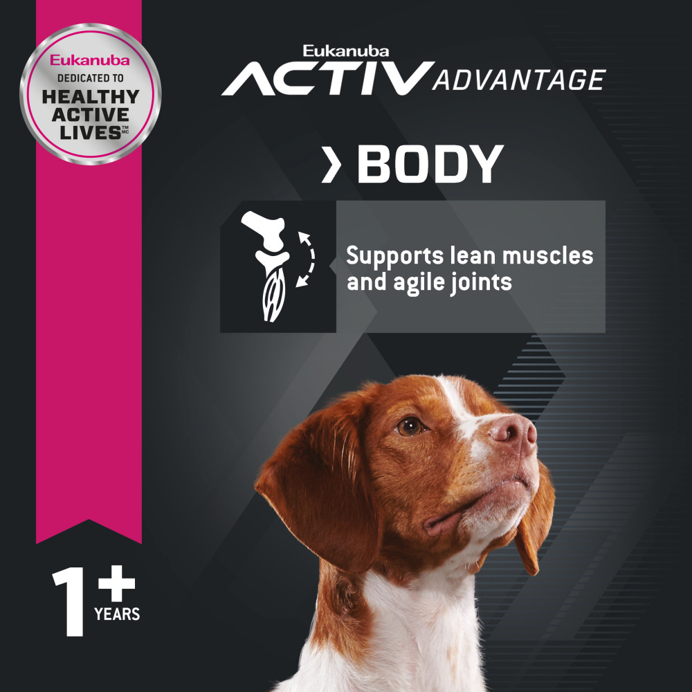 Eukanuba Adult Maintenance Chicken Formula Dry Dog Food - Premium Nutrition for Healthy Adult Dogs - Perfect for Daily Feeding & Active Lifestyles