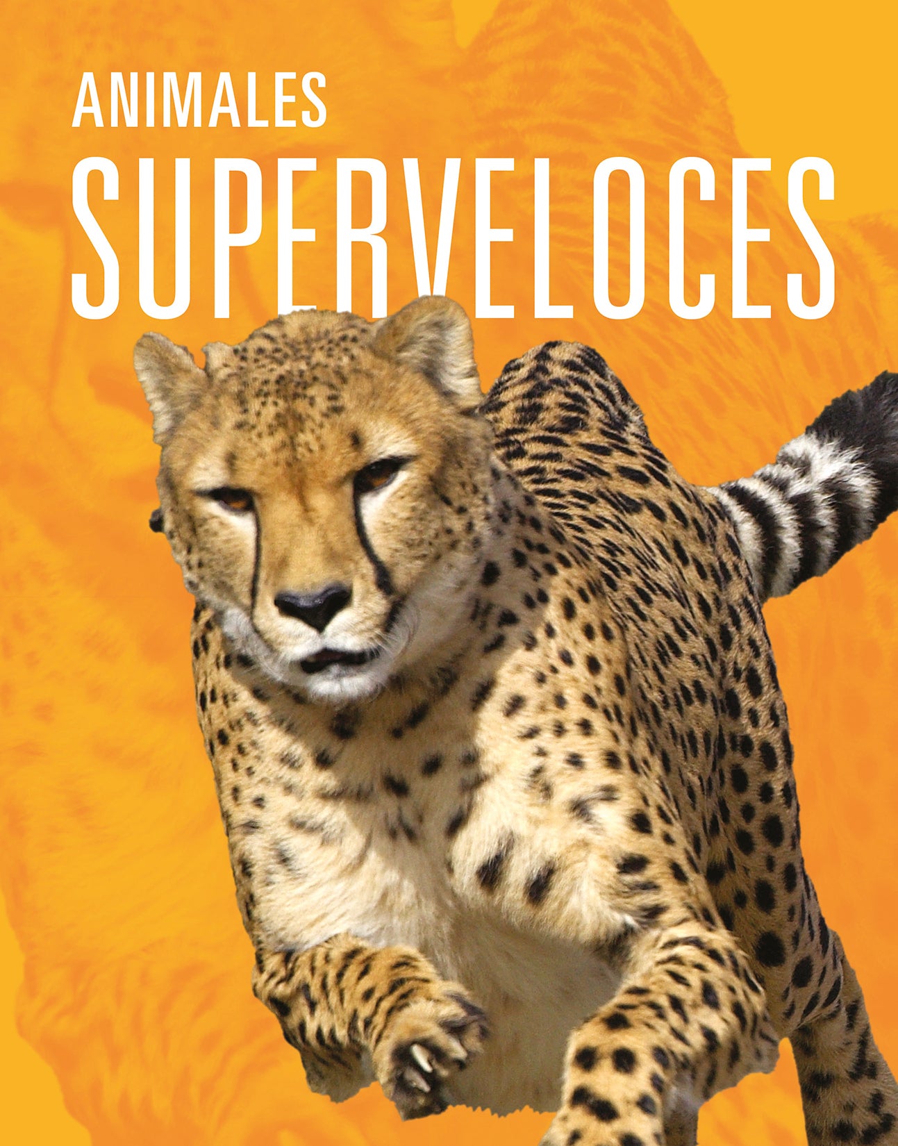 Fastest Running Animals - Top Speeds & Facts for Wildlife Enthusiasts | Perfect for Nature Documentaries & Educational Projects