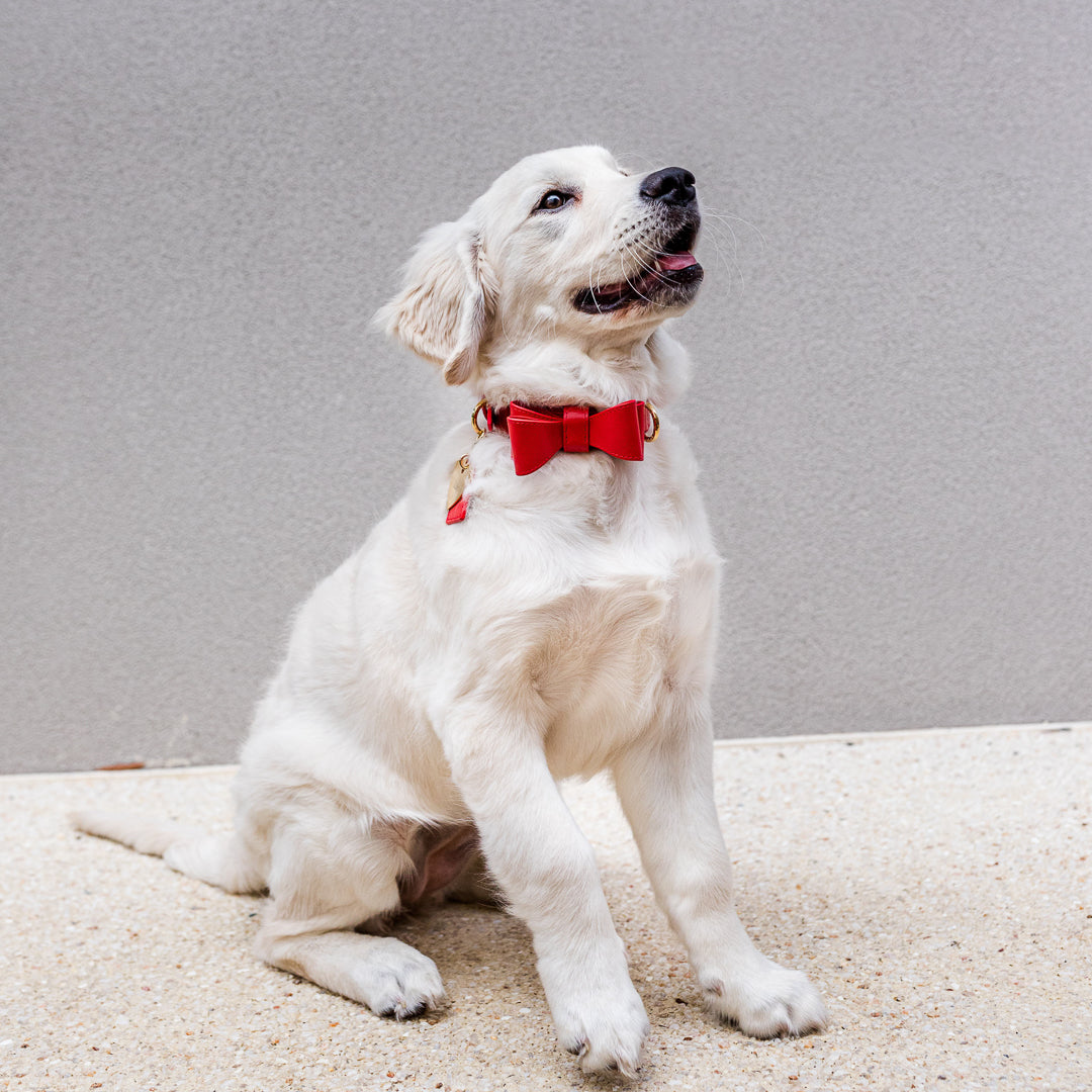Stylish Red Leather Dog Bow Tie for Small Medium Large Dogs - Perfect for Weddings, Parties & Photo Shoots