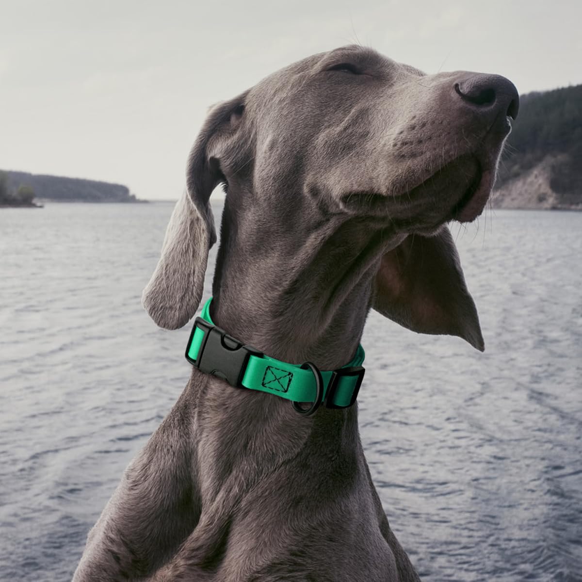 **Waterproof Biothane Dog Collar with Quick Release Buckle - Odor-Proof & Easy to Clean - Strong Coated Nylon Webbing for Small, Medium & Large Dogs (Teal, 1