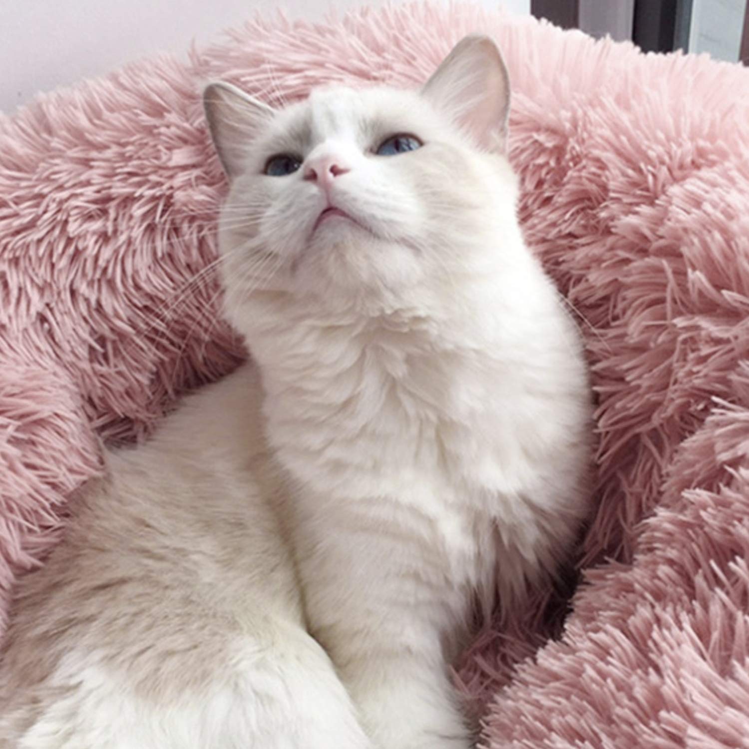 Cozy Pet Cave Bed for Dogs & Cats - Warm & Soft Sleeping Bag Nest for Puppies & Kittens - Perfect for Indoor Use, Crate Training & Cold Weather Comfort