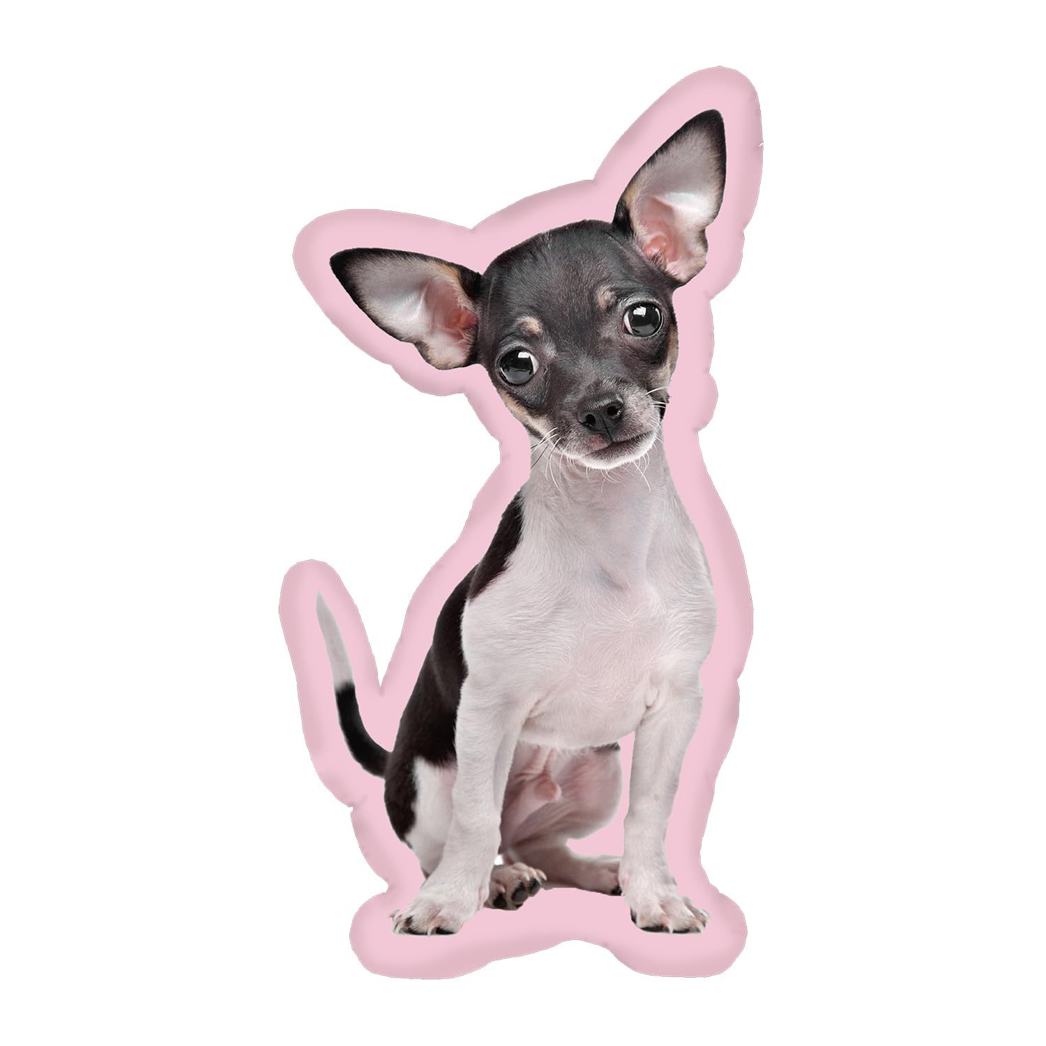 Custom Pet Pillow with Photo - Personalized Dog & Cat Pillow for Mother's Day, Graduation Gifts (12inch) - Home Decor & Unique Present