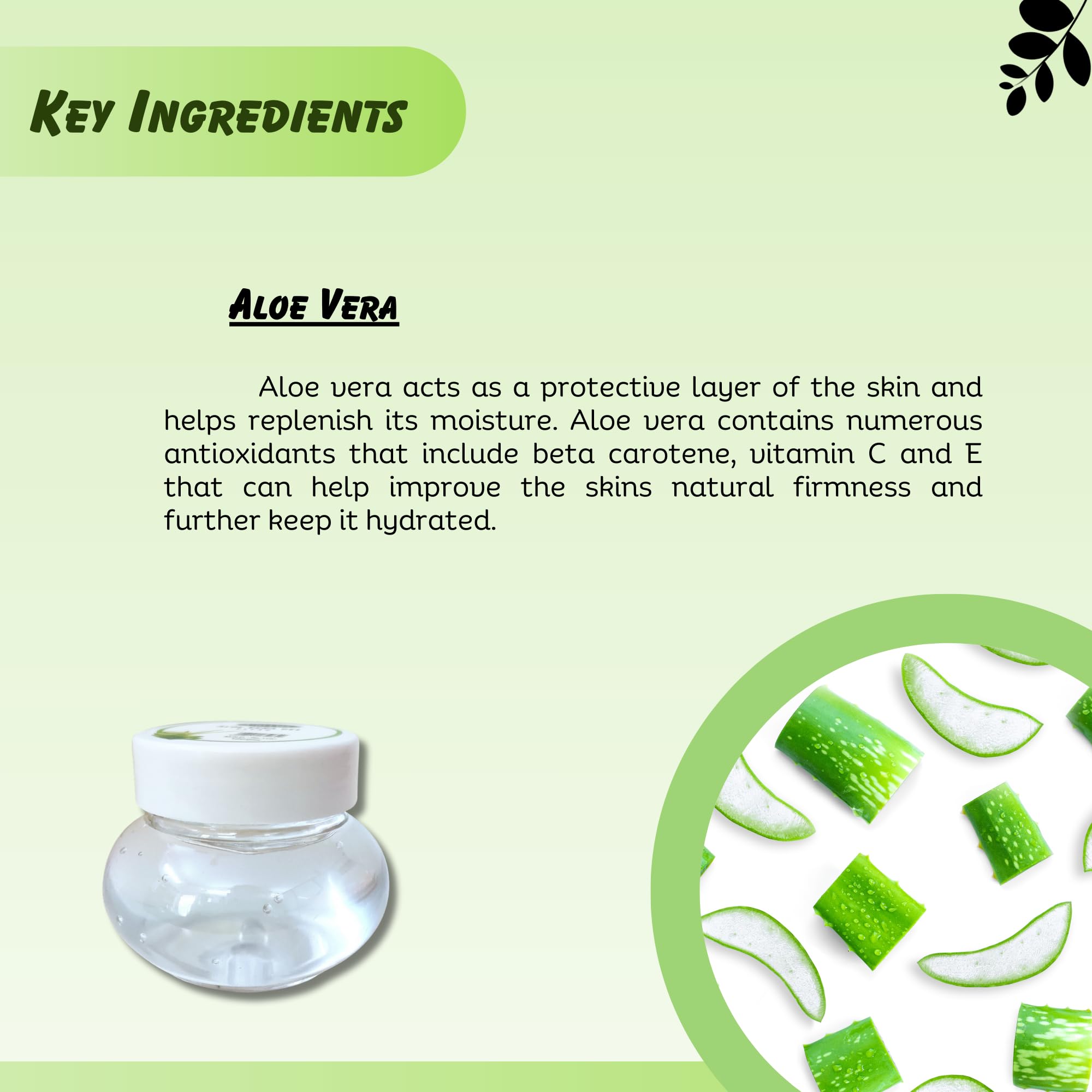 Green's Concept Pure Aloe Vera Gel for Face & Body - 24-Hour Hydration, 120g - Soothes Sunburn, Moisturizes Dry Skin & Promotes Healing