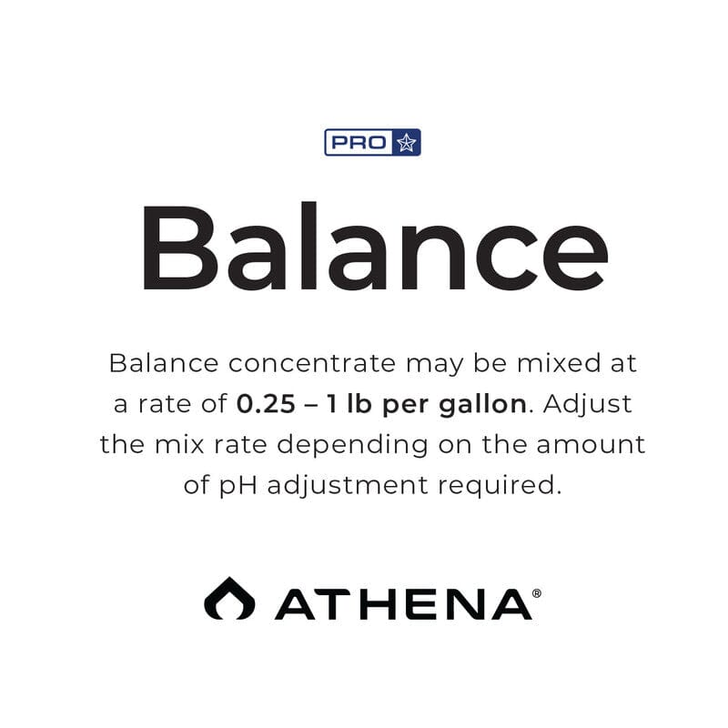 Athena Pro Line Balance Scale - 10 lbs / 4.53 kg Digital Precision Scale for Kitchen, Jewelry, and Postal Shipping | Perfect for Baking, Weighing Packages, and Crafting