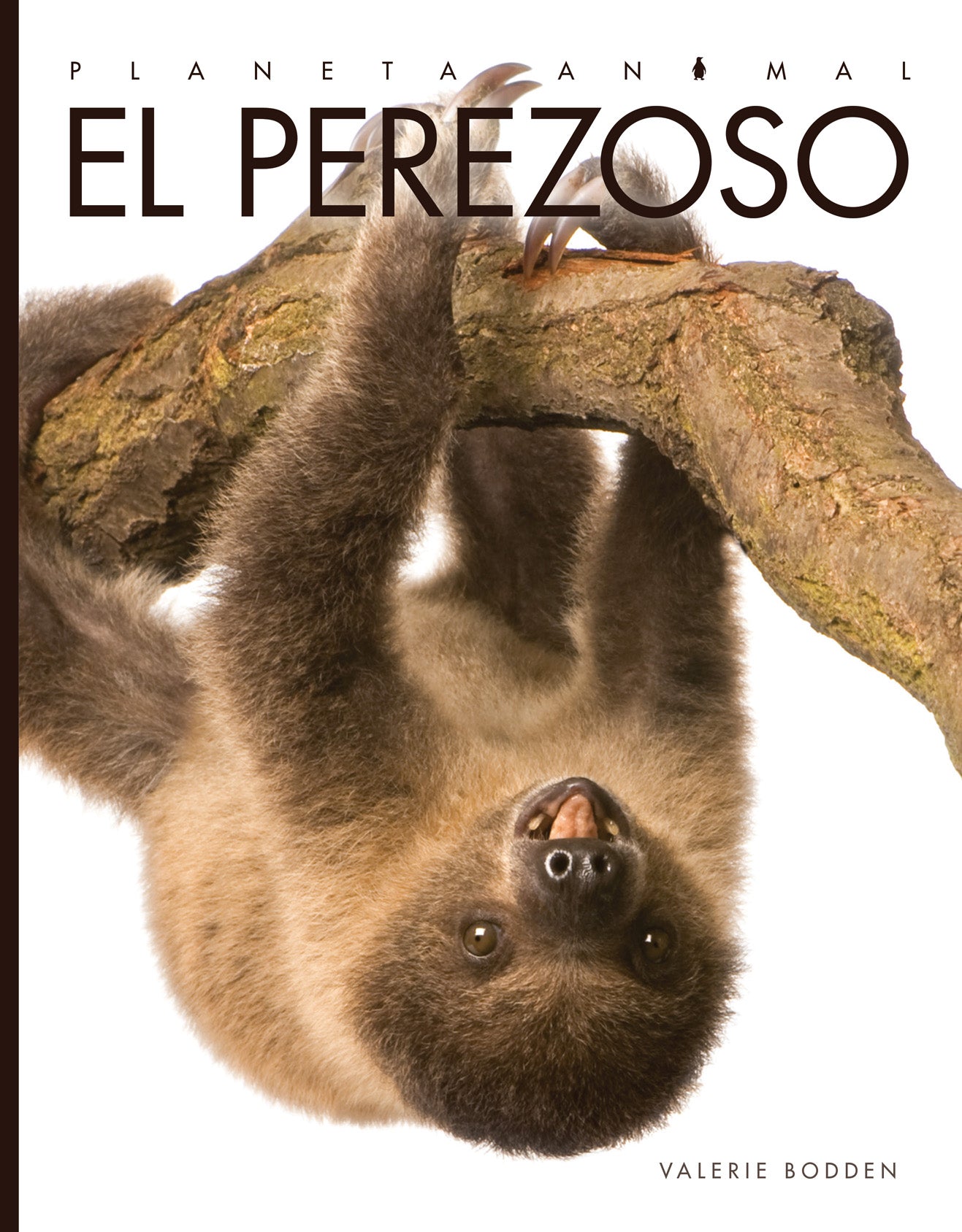 El Perezoso 9781608189397 - Bilingual Children's Book About Sloths - Perfect for Storytime, Classroom Learning & Gifts