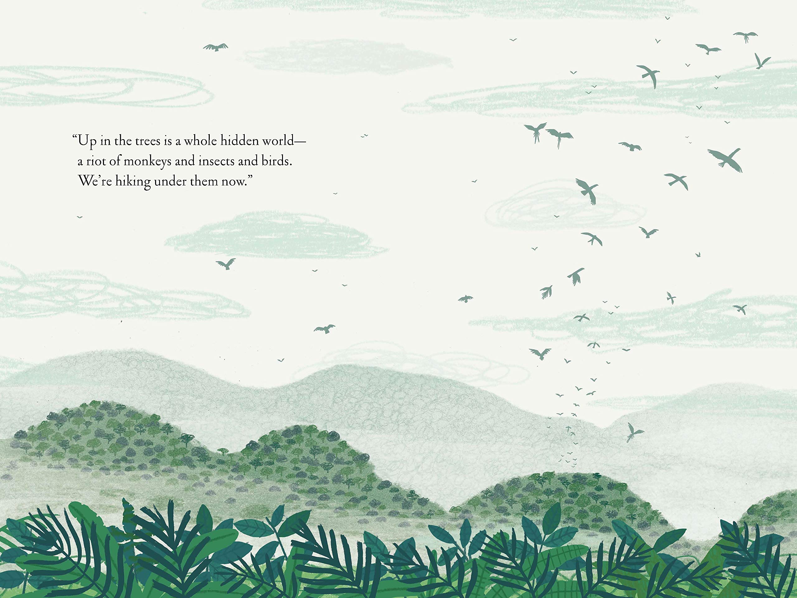Over and Under the Rainforest - Kids Educational Book About Jungle Animals & Ecosystems | Perfect for Classroom Learning & Nature Exploration