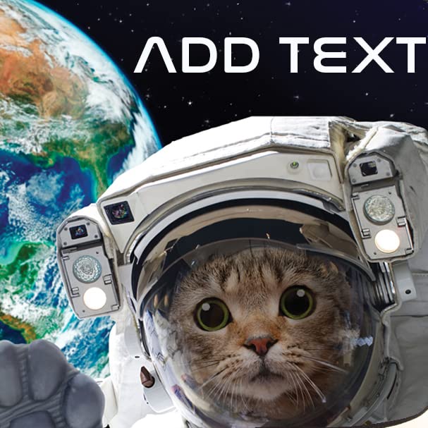 Space Cat