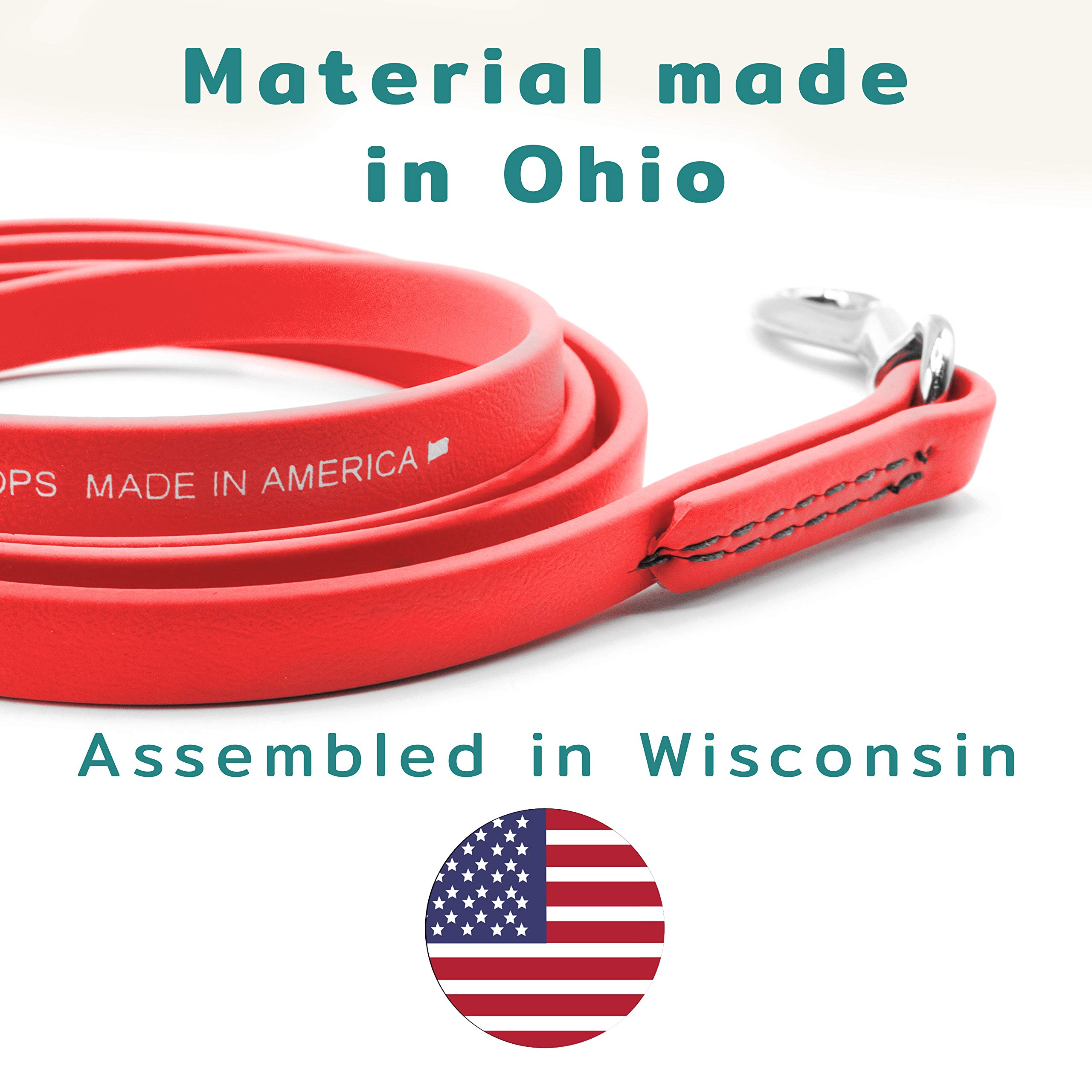 Premium Jelly Pet Leash - Waterproof, Easy to Clean & Durable Dog Leash - Stronger Than Leather (1/2
