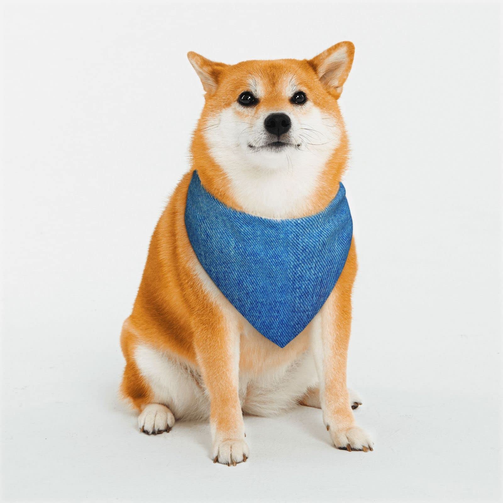 Denim Blue Adjustable Dog Bandana with Snaps - Triangle Pet Scarf for Small, Medium & Large Dogs - Perfect for Walks, Photos & Special Occasions