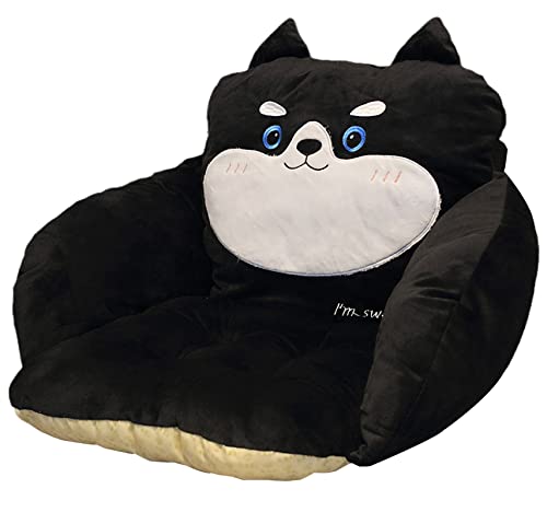 Black Cat