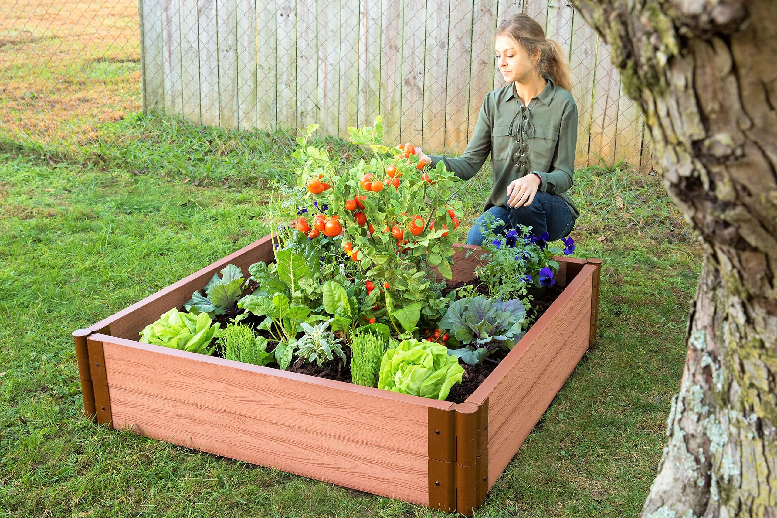 Frame It All Tool-Free Classic Sienna Raised Garden Bed Kit 4' x 4' x 11