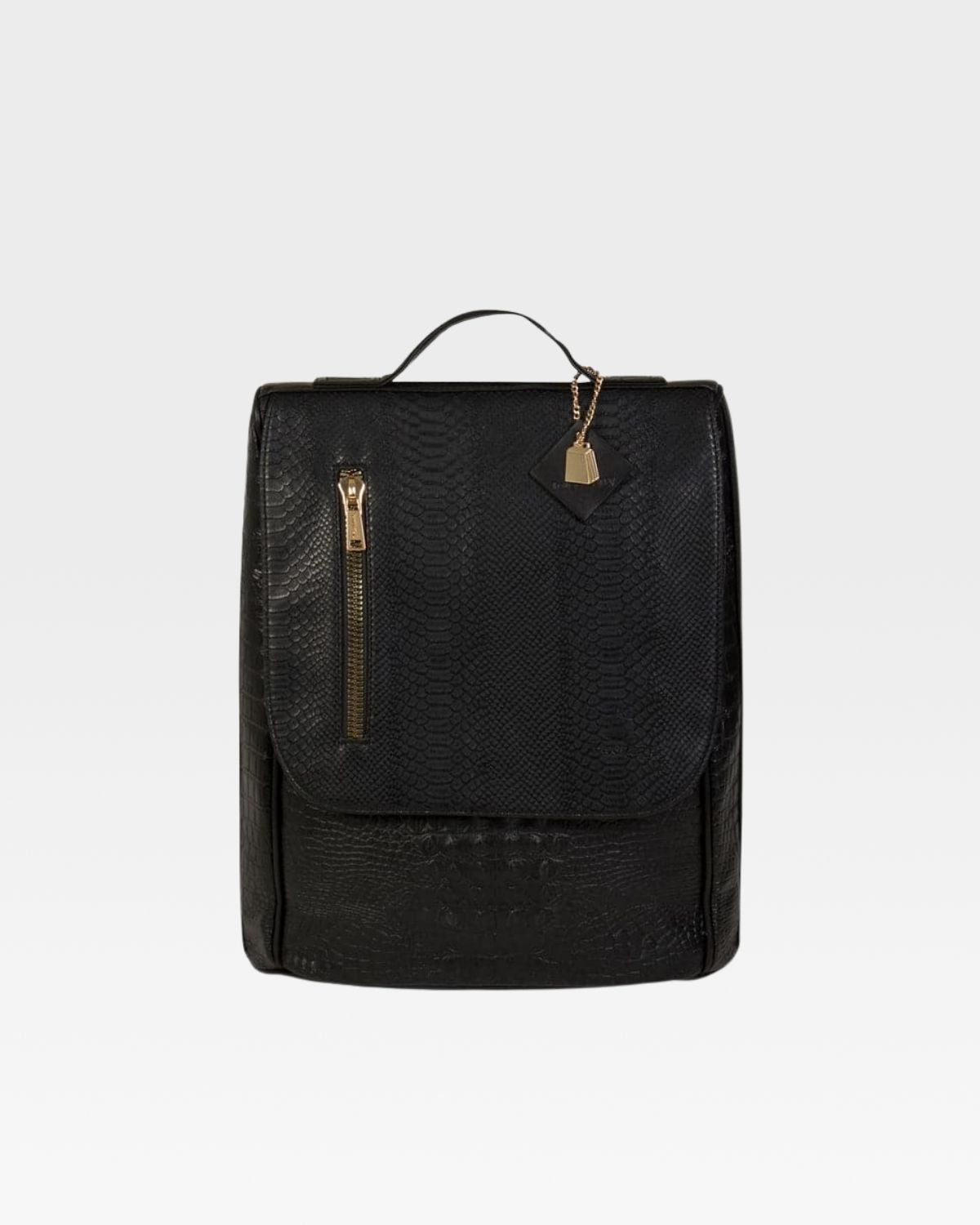 Apollo 2 Regular Backpack for School, Travel & Work - Lightweight Durable Laptop Backpack with Multiple Pockets for Men & Women - Perfect for Commuting, College & Outdoor Adventures