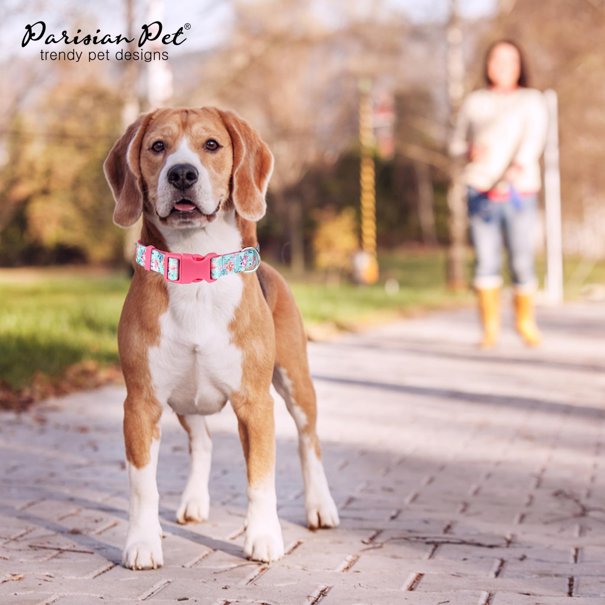 Parisian Pet Dog Collar - Adjustable Spring Blossoms Pattern Safety Buckle Collar for Small & Large Breed Dogs | Cute Puppy Collar with Breathable Nylon | Perfect for Daily Walks, Training & Outdoor Adventures