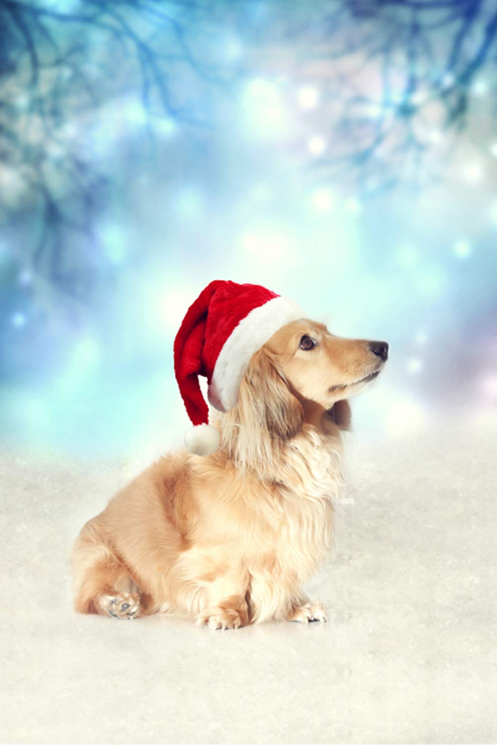 SUABO 28x40 Inch Christmas Garden Flag with Dachshund Dog Design - Outdoor Decorative House Flag for Holiday Yard Decor, Seasonal Patio & Lawn Display