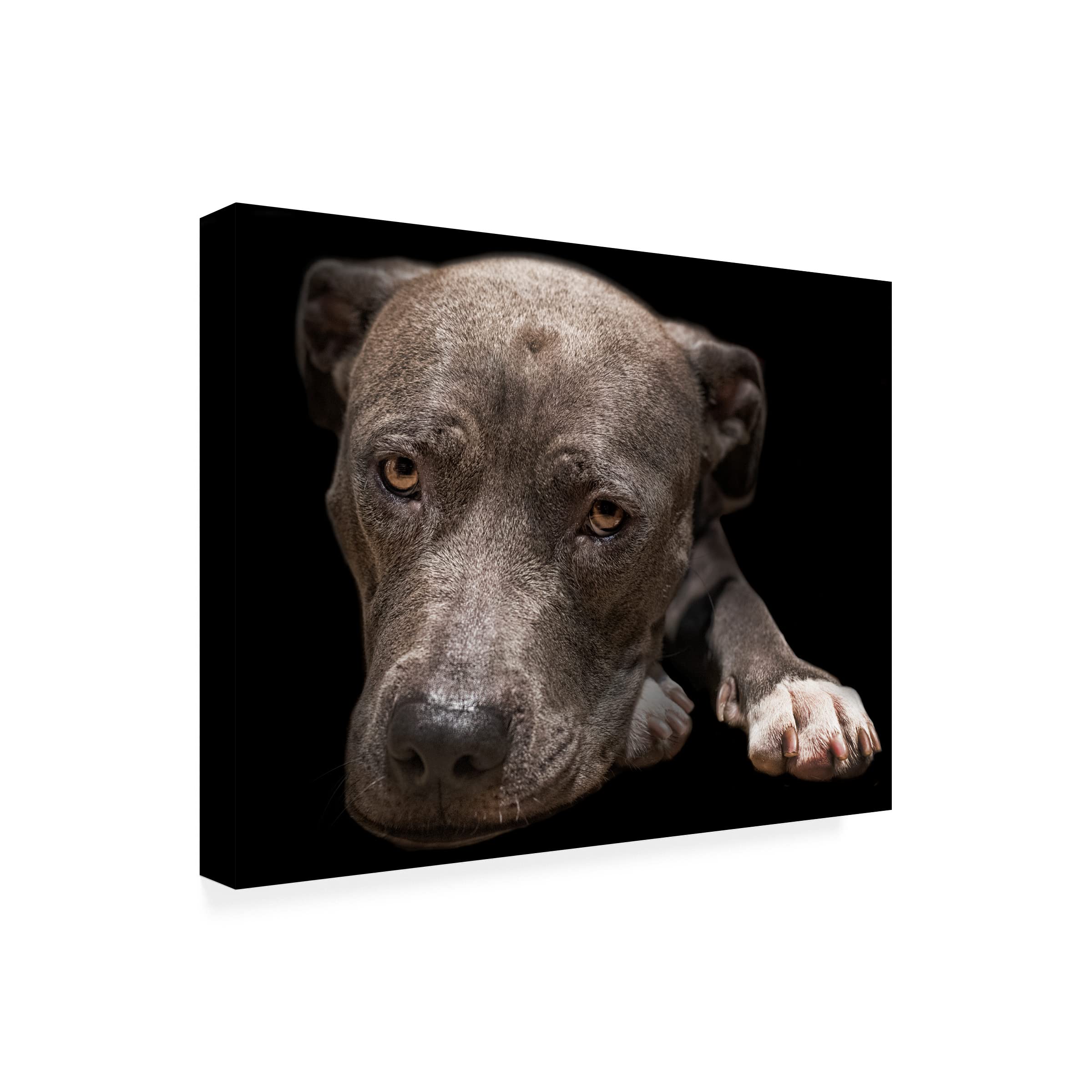 Trademark Fine Art 'Pit Bull Terrier' Canvas Wall Art by Lori Hutchison - Handmade Dog Painting for Living Room, Bedroom & Office Decor