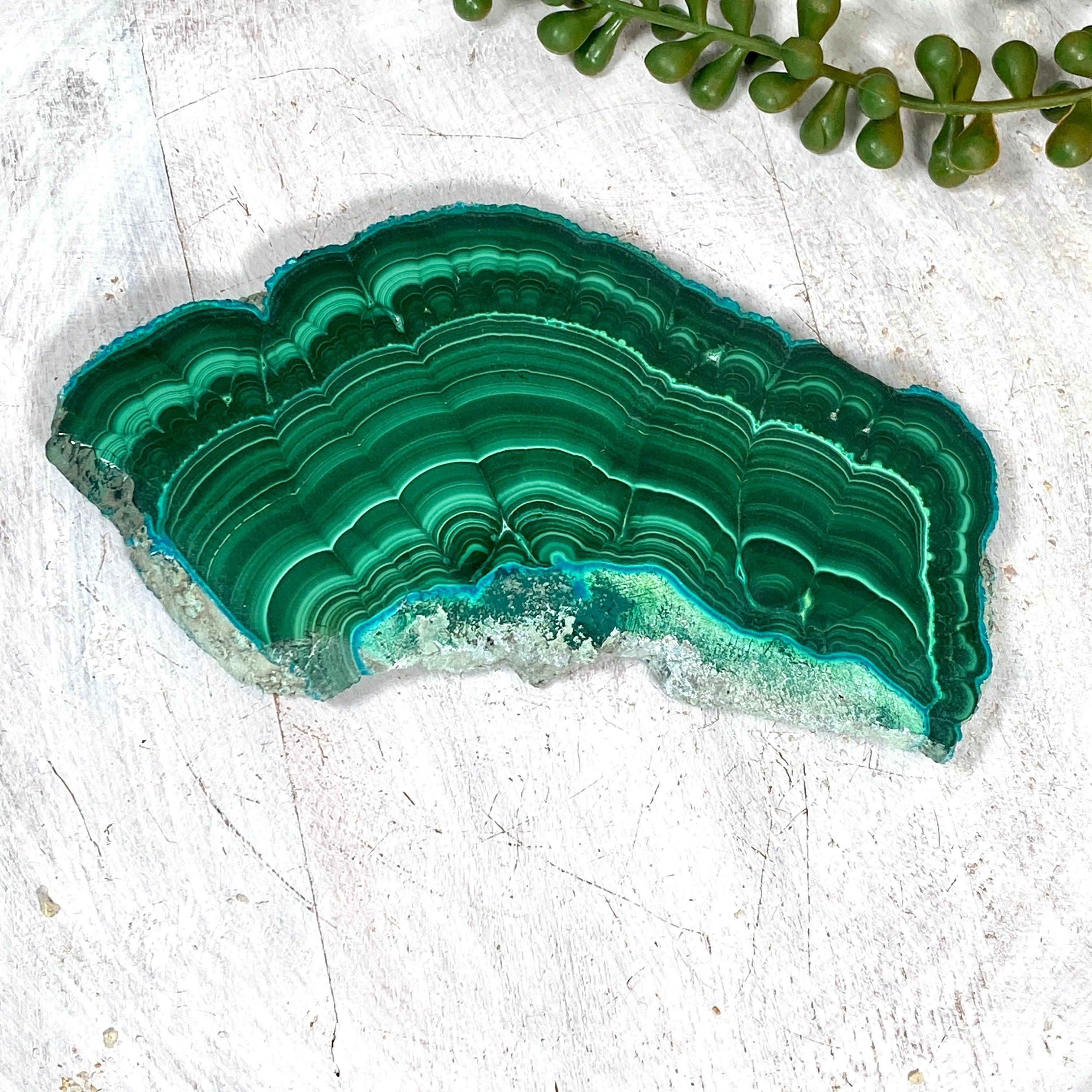 Natural Malachite Slice CR3539 - Unique Green Crystal Stone for Home Decor, Jewelry Making & Healing Crystals Collection - Perfect for Meditation, Feng Shui & Gift Giving